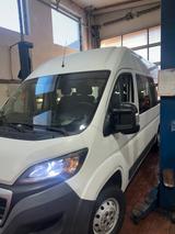 Peugeot Boxer  L3H2 - Peugeot Boxer mit Diesel-Antrieb