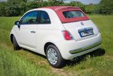 Fiat 500C 1.2 8V Pop | TÜV neu | Gepflegt - Fiat 500C: Pop