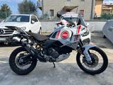 Ducati DUCATI DesertX 937 Lucky Explorer - DUCATI DESERTX