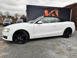 Audi A5 #CABRIO#TÜV#SERVICE#AHK#8.FACH-BER#SITZBELÜFT - Audi A5: Cabrio, A5cabrio