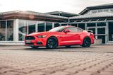 Ford Mustang 5.0 Ti-VCT V8 DE / Tuning / Gepflegt - Ford Mustang in München