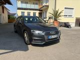 Audi A4 Avant 40 TFSI sport Pano Navi Xenon PDC+ 6-G