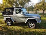 Mercedes-Benz G 320 CABRIO - W 463 Benzin - Selten -