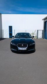 Jaguar Xf 3.0 Sport Brake - Jaguar XF mit Diesel-Antrieb: Kombi, 3.0