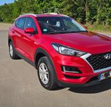 Hyundai Tucson 1.6  TGDi TÜV neu  gepflegt - Hyundai TUCSON in Mannheim