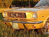 Ford Mustang Cabrio V8 - rostfrei - ungesc... - Ford Mustang aus 1965: Cabrio