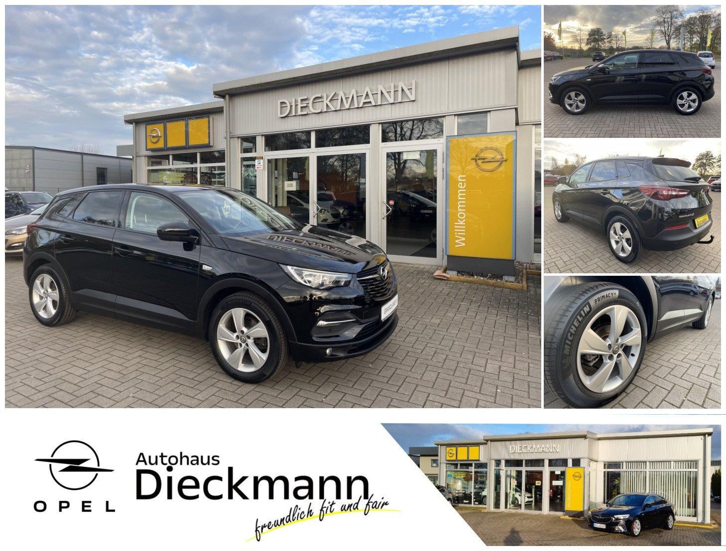 Opel Grandland X Edition AHK Navi PDC SHZ NSW LM