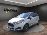 Ford Fiesta 1.0 74kW - Ford Fiesta Gebrauchtwagen in Chemnitz