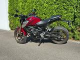 Honda CB125R - 15PS / Sturzbügel + Handguards / B196 - Offers