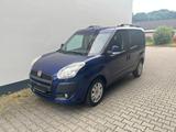 Fiat Doblo Doblò SX Kombi - Fiat Doblo: Winterreifen