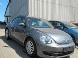 Volkswagen Beetle Lim. Basis- Klimaaut.-SHZ-PDC-Allwetterr. - Volkswagen Beetle in Dortmund