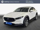 Mazda CX-30 e-SKYACTIVE X 186 Aut. EXCLUSIVE-LINE 137  - Mazda CX-30 mit Panoramadach