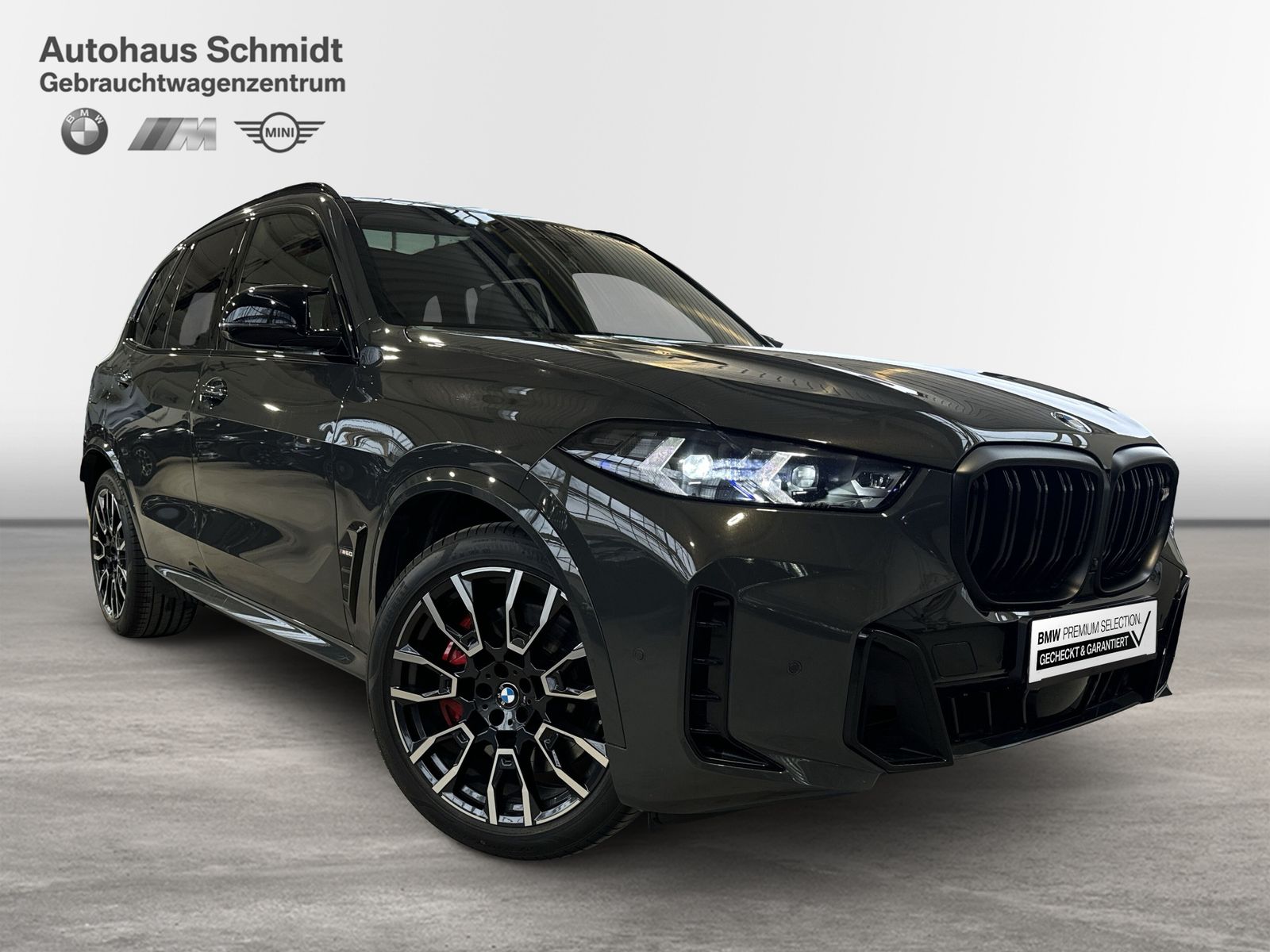 BMW X5 M60 - Bild 6
