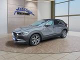 Mazda CX-30 2.0 180PS Aut.18*Alu/Matrix/Navi/el.Klappe - Mazda CX-30 Gebrauchtwagen