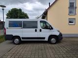 Fiat Ducato Multijet 115 - Angebote