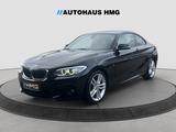 BMW 220i Coupe M Sport *BI-XENON*PDC*SITZHZ*ALLWETT - BMW 220: Coupe