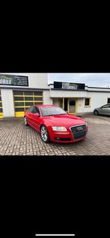 Audi Suche Audi A8 D3 in Rot - : Suche