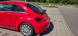 Volkswagen VW Beetle 1.4 TSI Sportline / STEUERKETTE NEU - Volkswagen: Sportline
