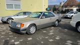Mercedes-Benz 300CE 24V SPORTLINE/SCHALTER/OLDTIMER - Mercedes-Benz 300: Ce 24v