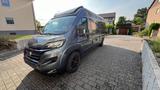 Chausson V594 Roadline Premium (Verhandlungsbasis) - Chausson Diesel Kastenwagen