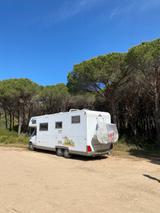 Fiat Bürstner Argos 747-2 - Fiat Alkoven