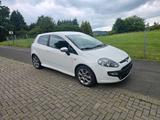 Fiat Punto Evo - Fiat Punto Evo von privat