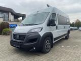 Fiat Bunkervan Denver Rundsitzgruppe/ Hubbett/ Solar* - Fiat Neu Kastenwagen