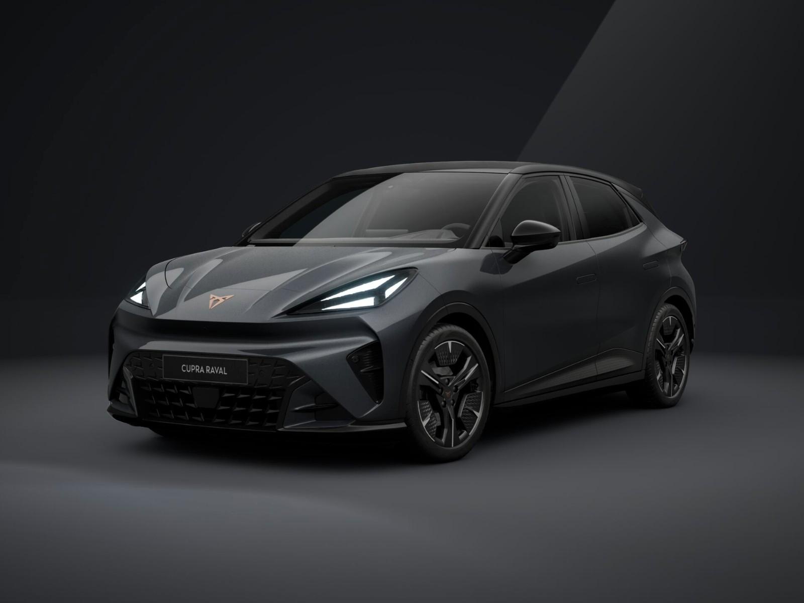 Cupra Raval PLUS + WÄRMEPUMPE+AHK+EDGE PACK+MATRIX LED