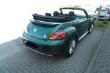 Volkswagen Cabriolet 1.4 TSI 150PS Klima, Navi - VW Beetle Gebrauchtwagen in Frankfurt