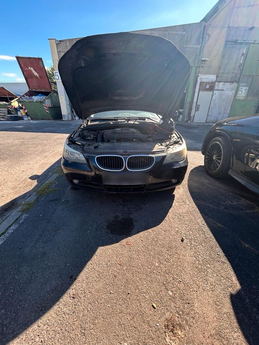 BMW 520 2006 — вигляд ззаду