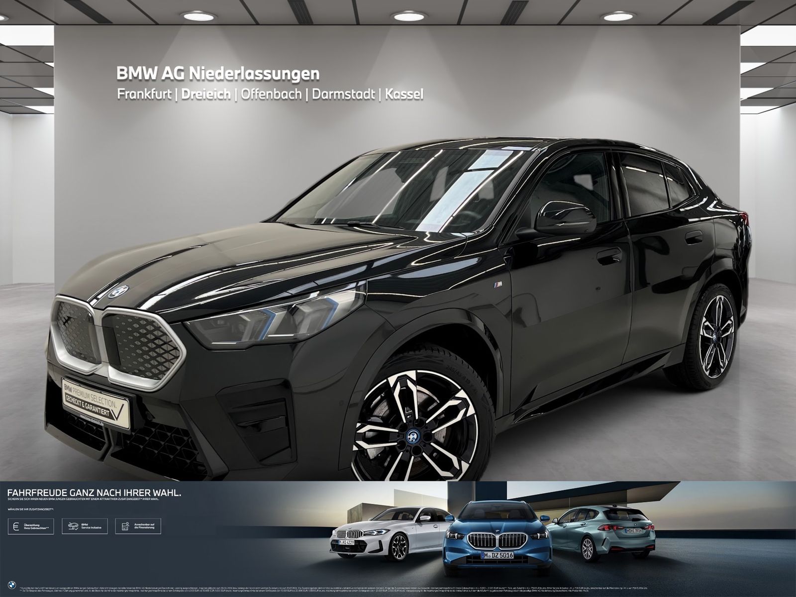 BMW iX2 xDrive30 M Sport AHK Driv.Assist.Prof LED foto 1