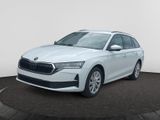 Skoda Octavia Combi 1.5 TSI mHEV DSG Selection - Skoda Octavia Jahreswagen: Kombi