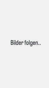 Skoda Superb 1.8 TSI Elegance Combi Elegance - Skoda Superb aus 2011: Kombi