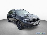 Skoda Kamiq - Vorschau Bild 3