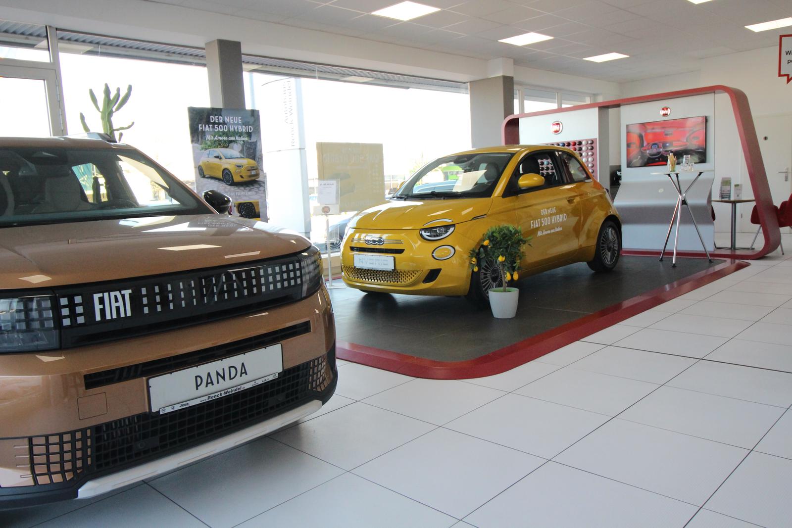 showroom-image-bottom