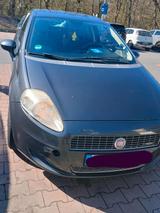Fiat fiat punto - Fiat Punto in Solingen