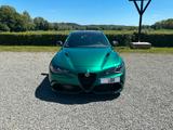 Alfa Romeo Giulia Quadrifoglio 2.9 V6 SPARCO CARBON-DACH - Alfa Romeo Giulia Quadrifoglio Sparco Gebrauchtwagen