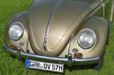 Volkswagen Käfer Ovali - Volkswagen Käfer: Ovali