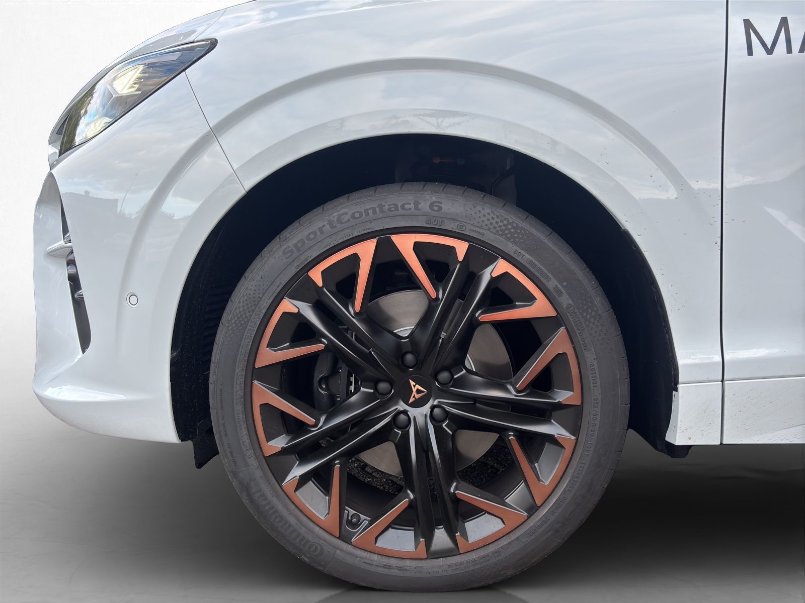 Cupra Terramar - Bild 12
