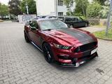 Ford Mustang Ecoboost 2.3 Shelbykit.Auto.Leder.Navi.. - Ford in Berlin