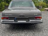 Mercedes-Benz 300sel 3.5 aus Portugal mit einmaliger Farbkombi - Mercedes-Benz 300: 300e