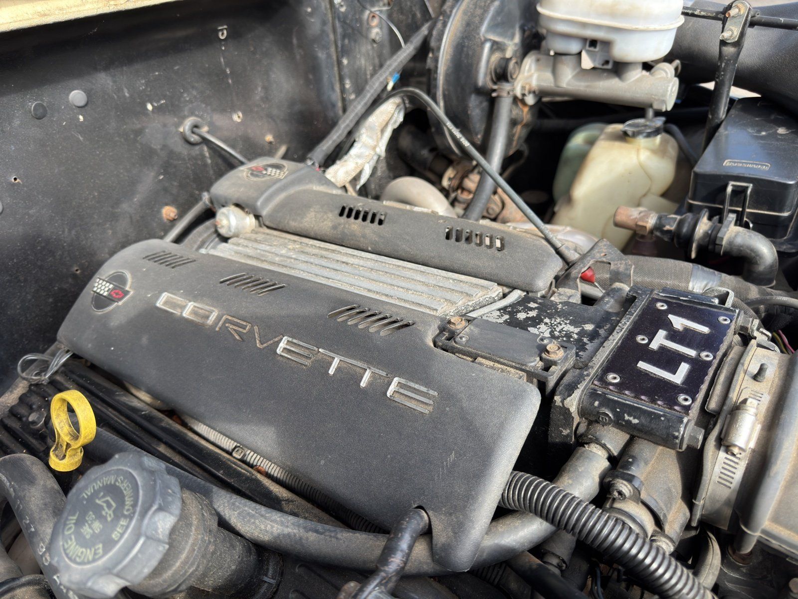 Fahrzeugabbildung Jeep CJ7 V8 LT1 H-Zulassung alles eingetragen