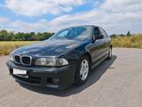 BMW  E39 525d - BMW 525 aus 2003: 525d