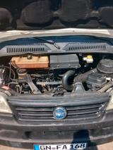 Fiat Ducato - gebrauchte Fiat Ducato aus dem Jahr 2003