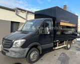 Mercedes-Benz Sprinter II 513, Koffer, LBW, 3 Sitze, 80 Tsd.km - Tier-/Pferdetransport 3 5t
