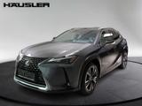 Lexus UX 250h Style Edition Automatik PDC Navi Kamera  - graue Lexus UX