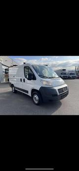 Fiat Ducato - Fiat Ducato in München