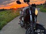 Yamaha MT-03 - Yamaha Motorräder in Freiburg