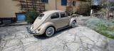 Volkswagen Käfer 57er Ovali US-Export - Volkswagen Käfer: Ovali
