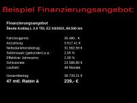 Skoda Kodiaq - Vorschau Bild 4